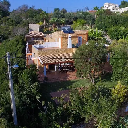 D Alma Maximo Villa